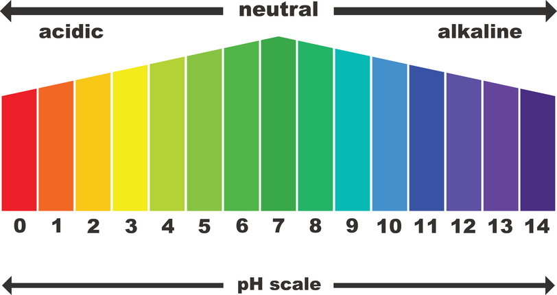 acid PH iStock 826251426